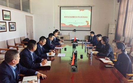 標(biāo)題：銷售黨支部召開組織生活會暨民主評議黨員會議
瀏覽次數(shù)：354
發(fā)表時間：2025-02-26